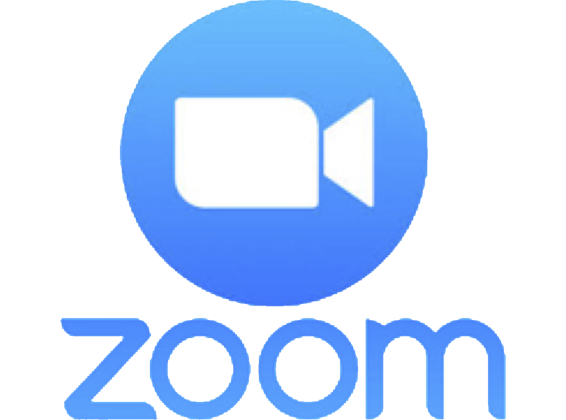 Zoom Logo